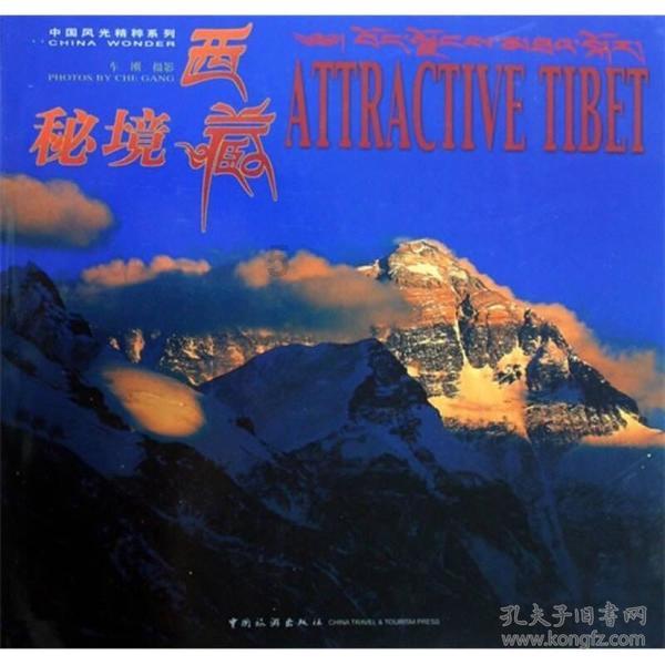 旋转飞机
