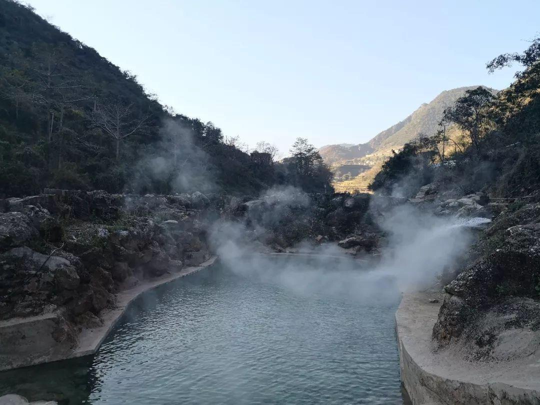 冬笋的“别致”吃法,开胃又下饭,螺蛳粉里必不可少