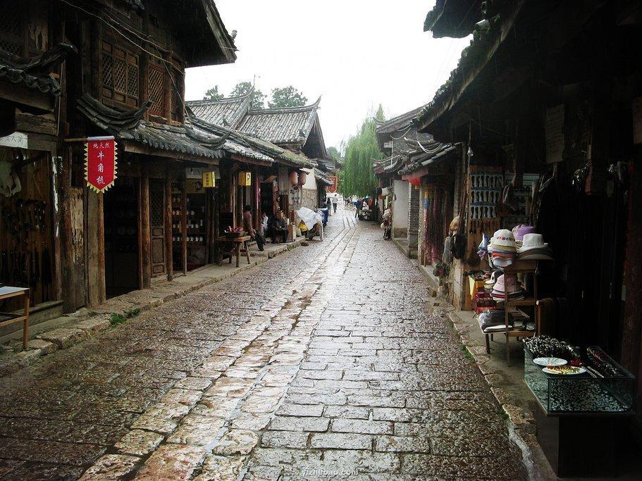 僵尸女友爱爬树